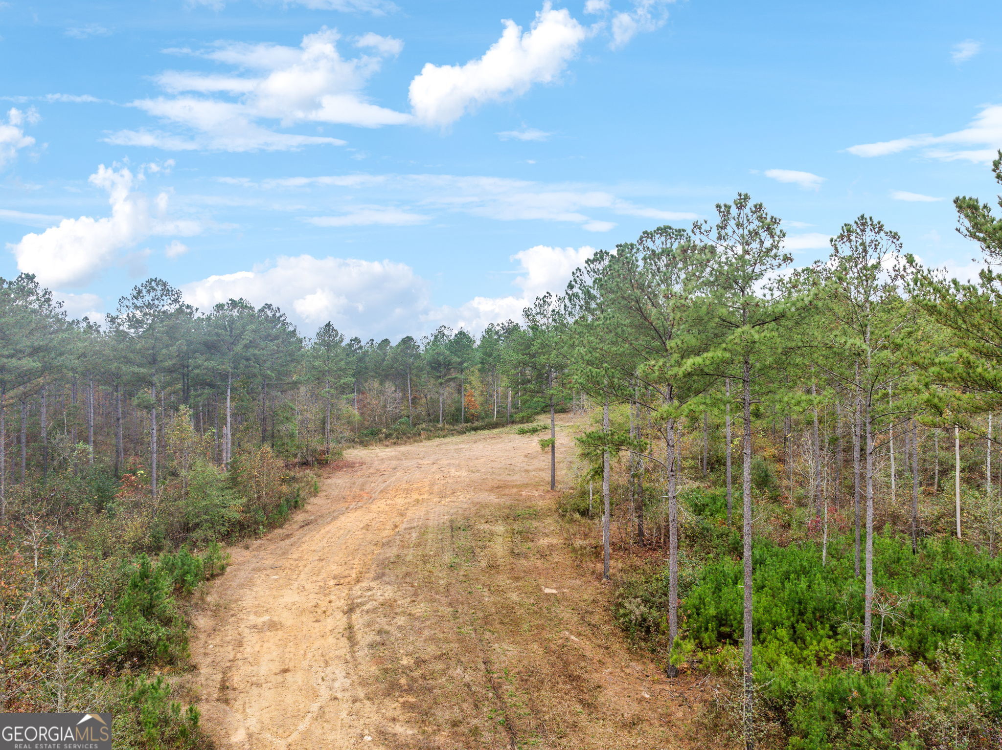 0 Josh Ward Road Summerville, GA 30747 - Photo 3 of 27