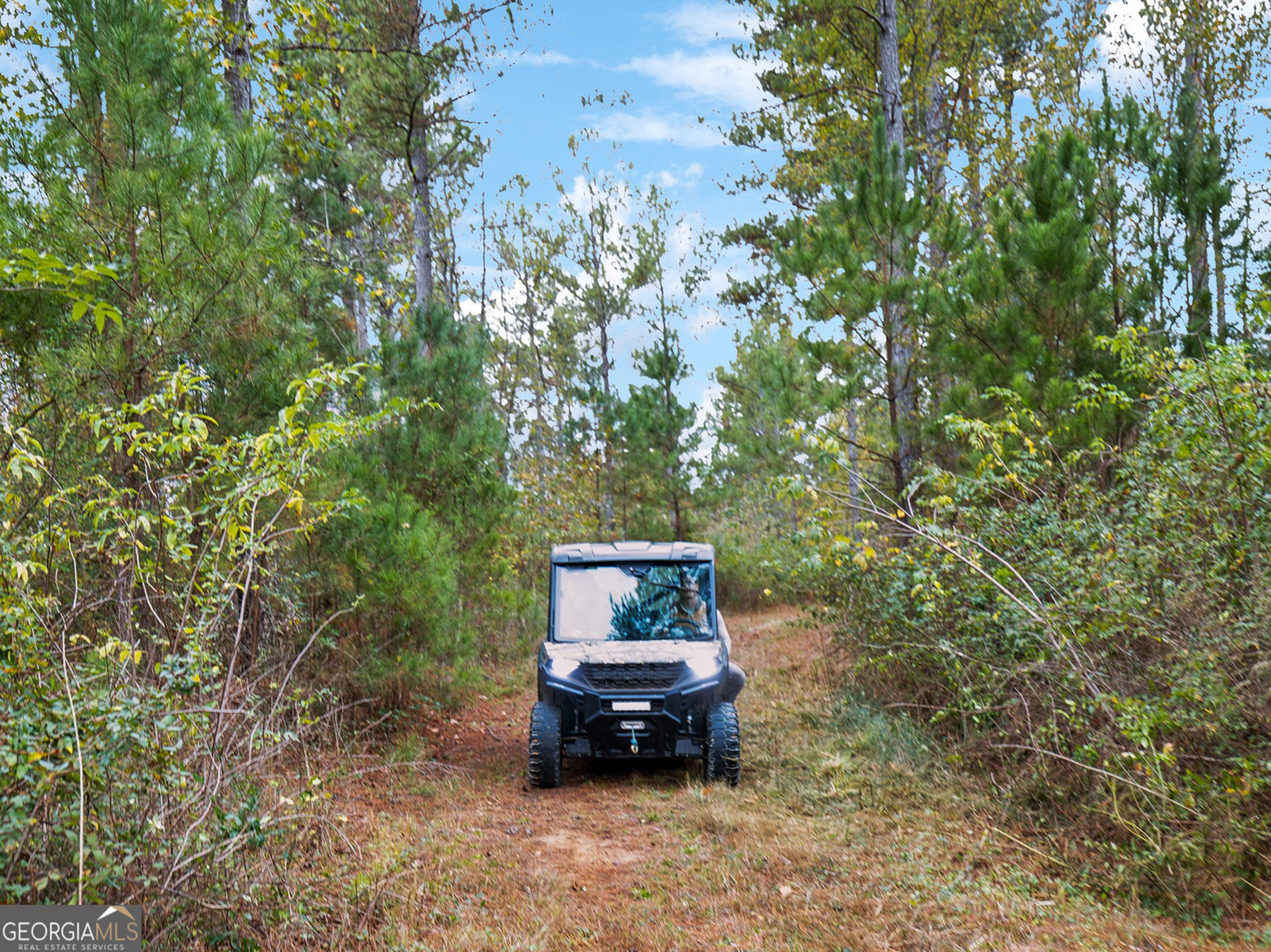 0 Josh Ward Road Summerville, GA 30747 - Photo 6 of 27 a car parked in front of a yard