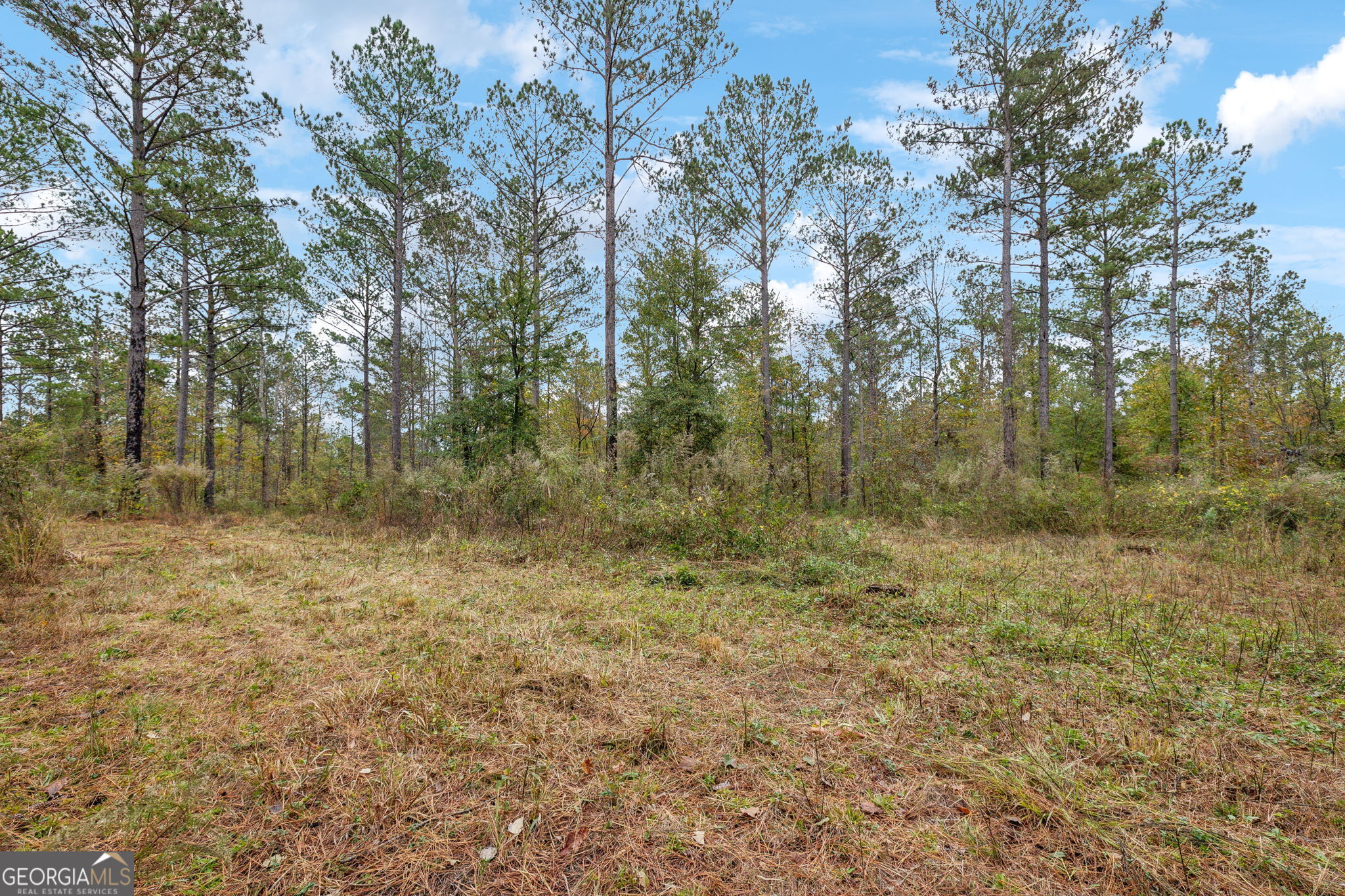 0 Josh Ward Road Summerville, GA 30747 - Photo 10 of 27 a view of a large yard with lots of green space