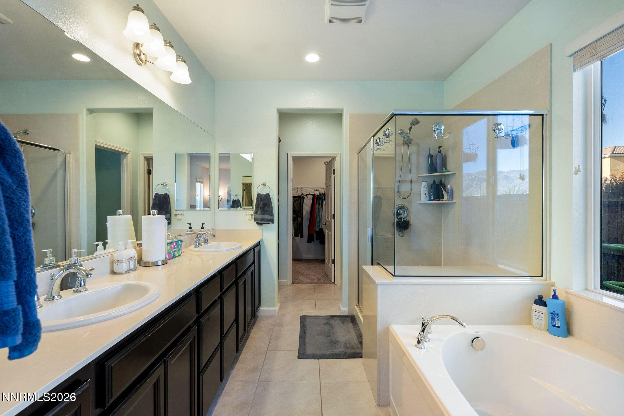 2190 Dutch Draft Drive Reno, NV 89521 - Photo 23 of 32 a bathroom with a tub a sink shower and mirror
