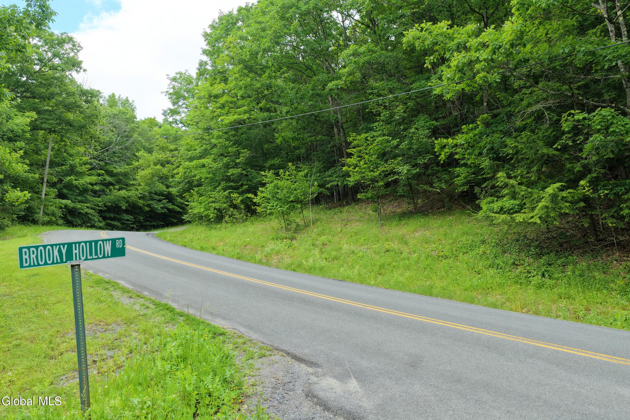 L1.00 Cotton Hill Road Middleburgh, NY 12122 - Photo 13 of 17 dji_20260616014112_0059_d