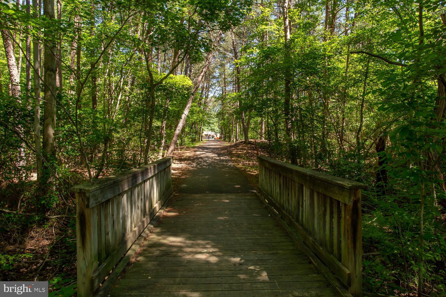 6248 Levi Court Springfield, VA 22150 - Photo 44 of 51 Serene path through lush greenery.