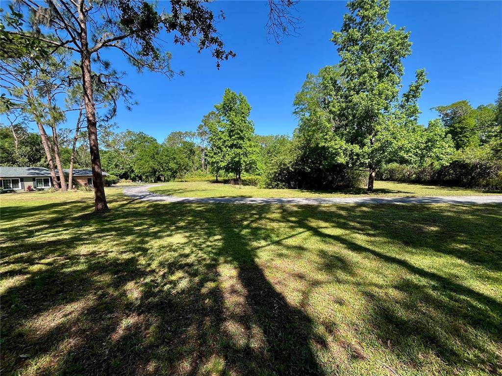4310 Lithia Pinecrest Road Valrico, FL 33596 - Photo 44 of 62 Gallery Image 44