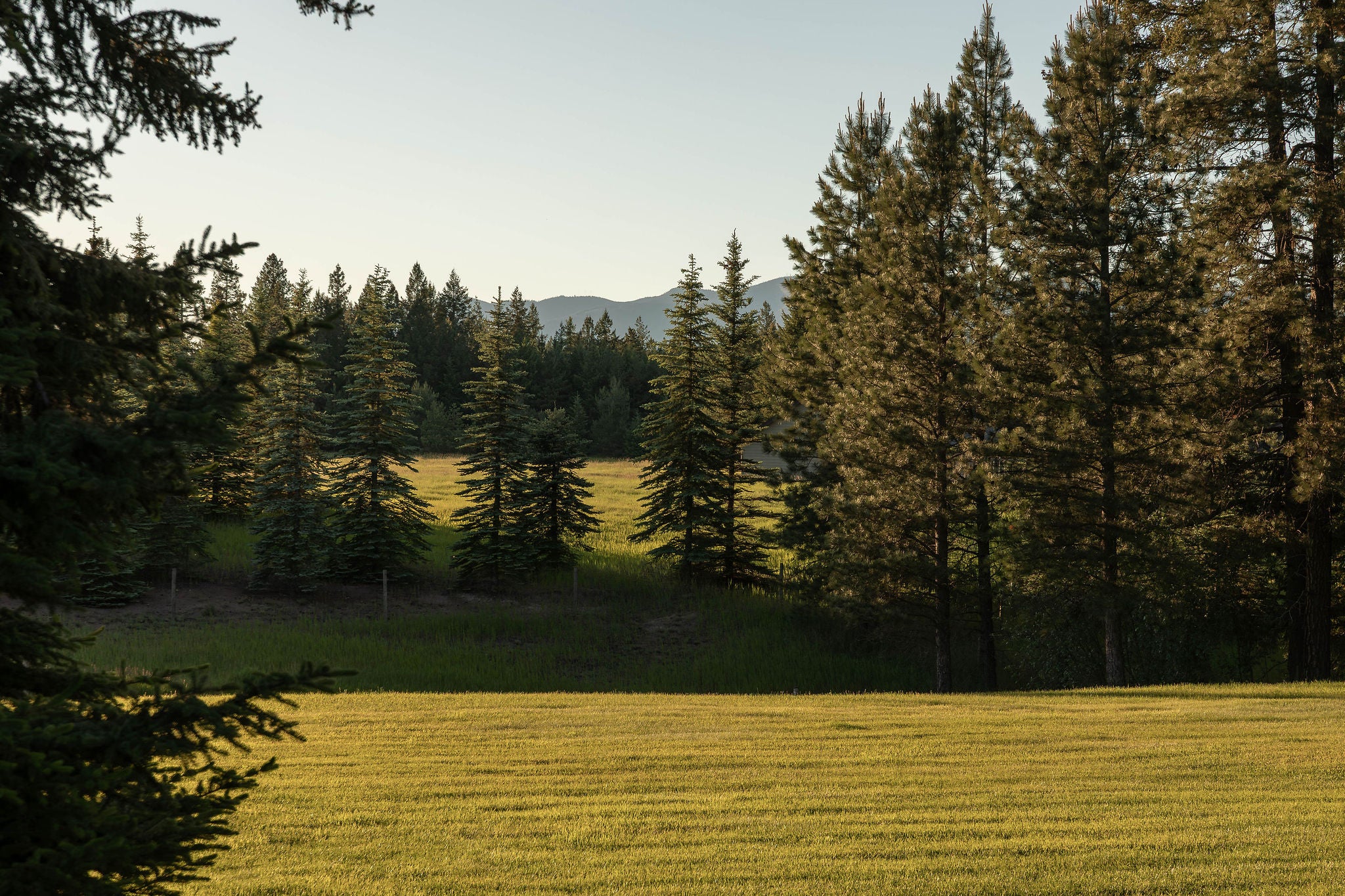 979 Hodgson Road Columbia Falls, MT 59912 - Photo 50 of 81 Gallery Image 50