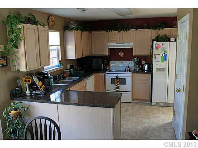 126 Elrosa Road Mooresville, NC 28115 - Photo 6 of 16