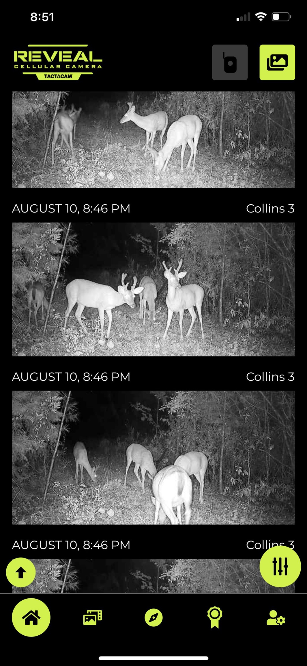 Hoyle Bryars Road Perdido, AL 36562 - Photo 6 of 12