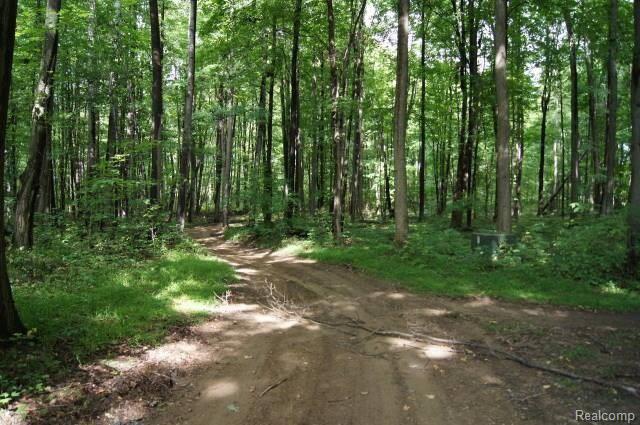 4203 Mt Morris Road Columbiaville, MI 48421 - Photo 23 of 28 DSC06040.JPG