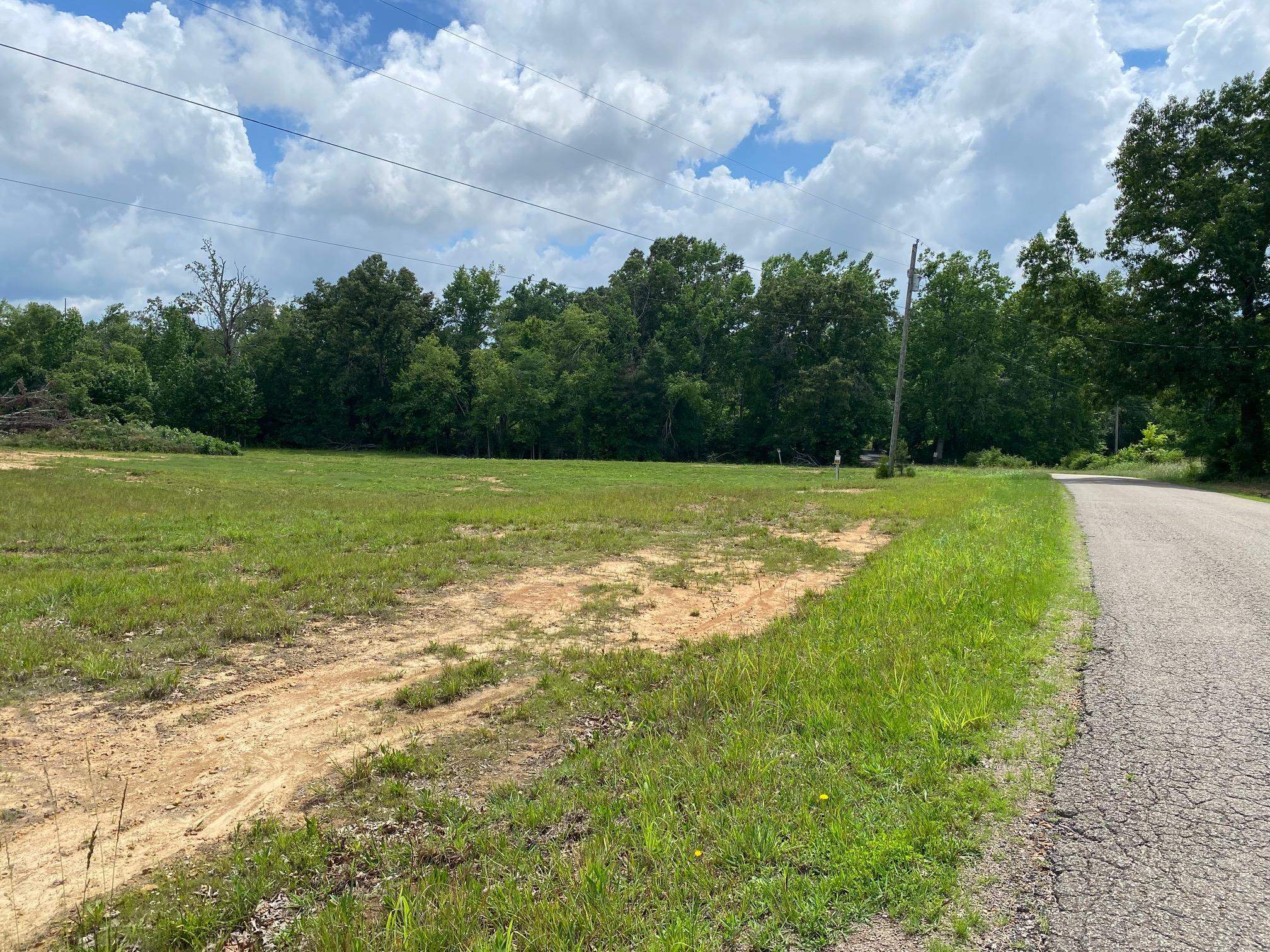 Old Morris Chapel Road Adamsville, TN 38310 - Photo 5 of 13