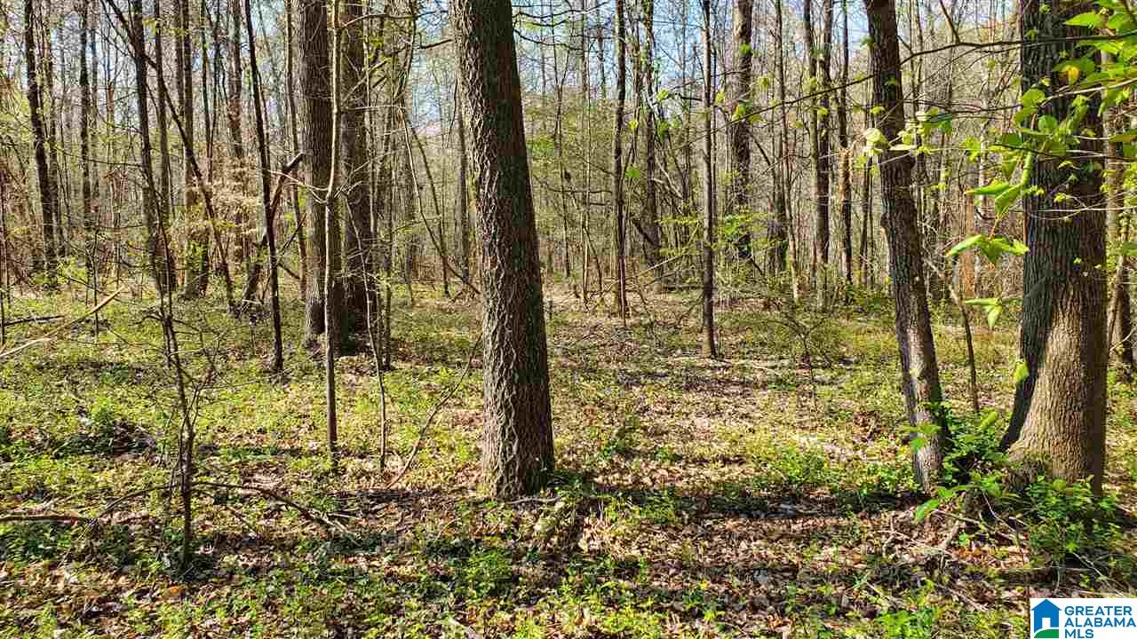 4356 Richeytown Road, Unit 1 Oxford, AL 36203 - Photo 8 of 10