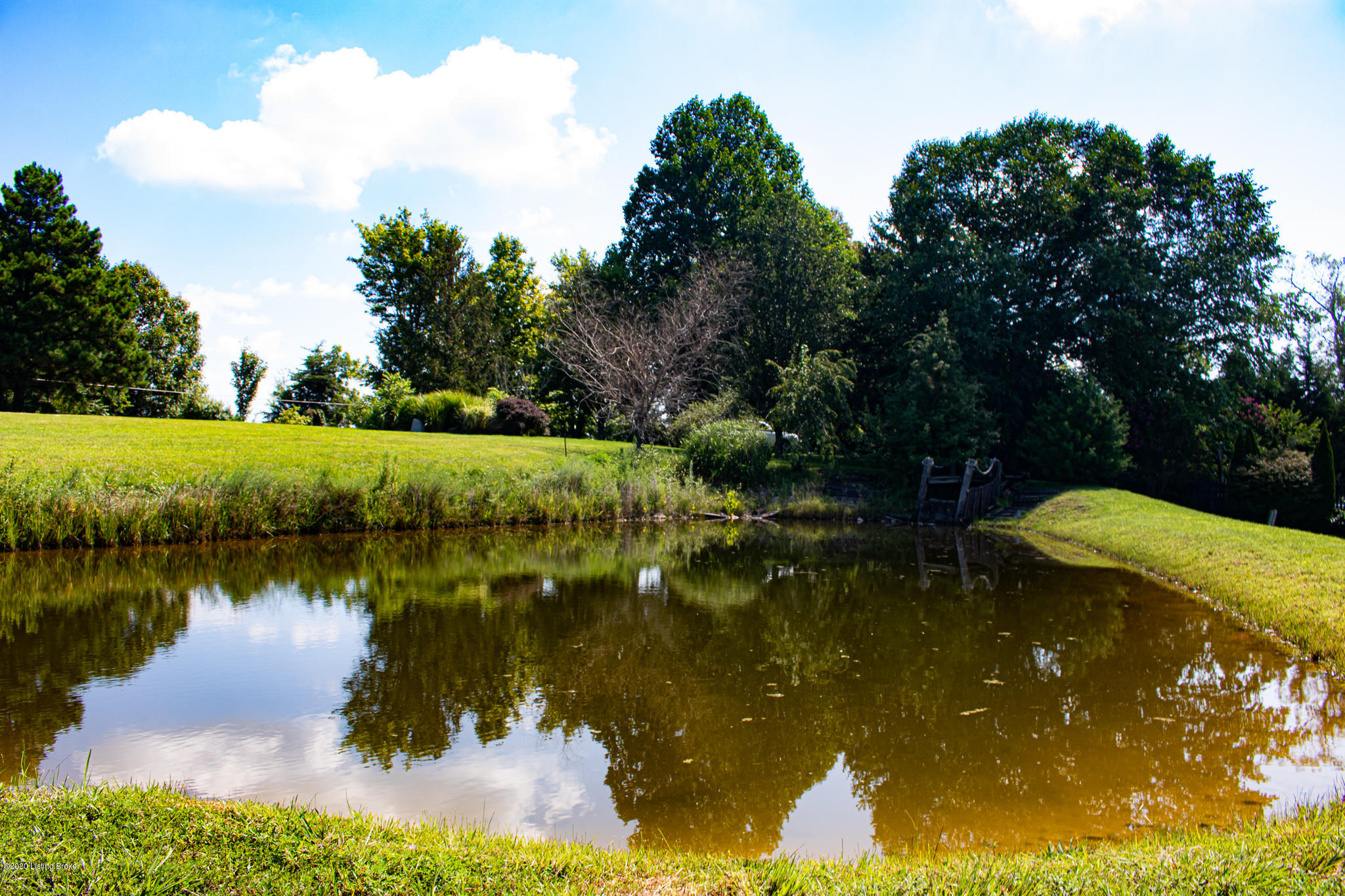 2625 Sunbeam Road Leitchfield, KY 42754 - Photo 28 of 34 IMG_4800-2