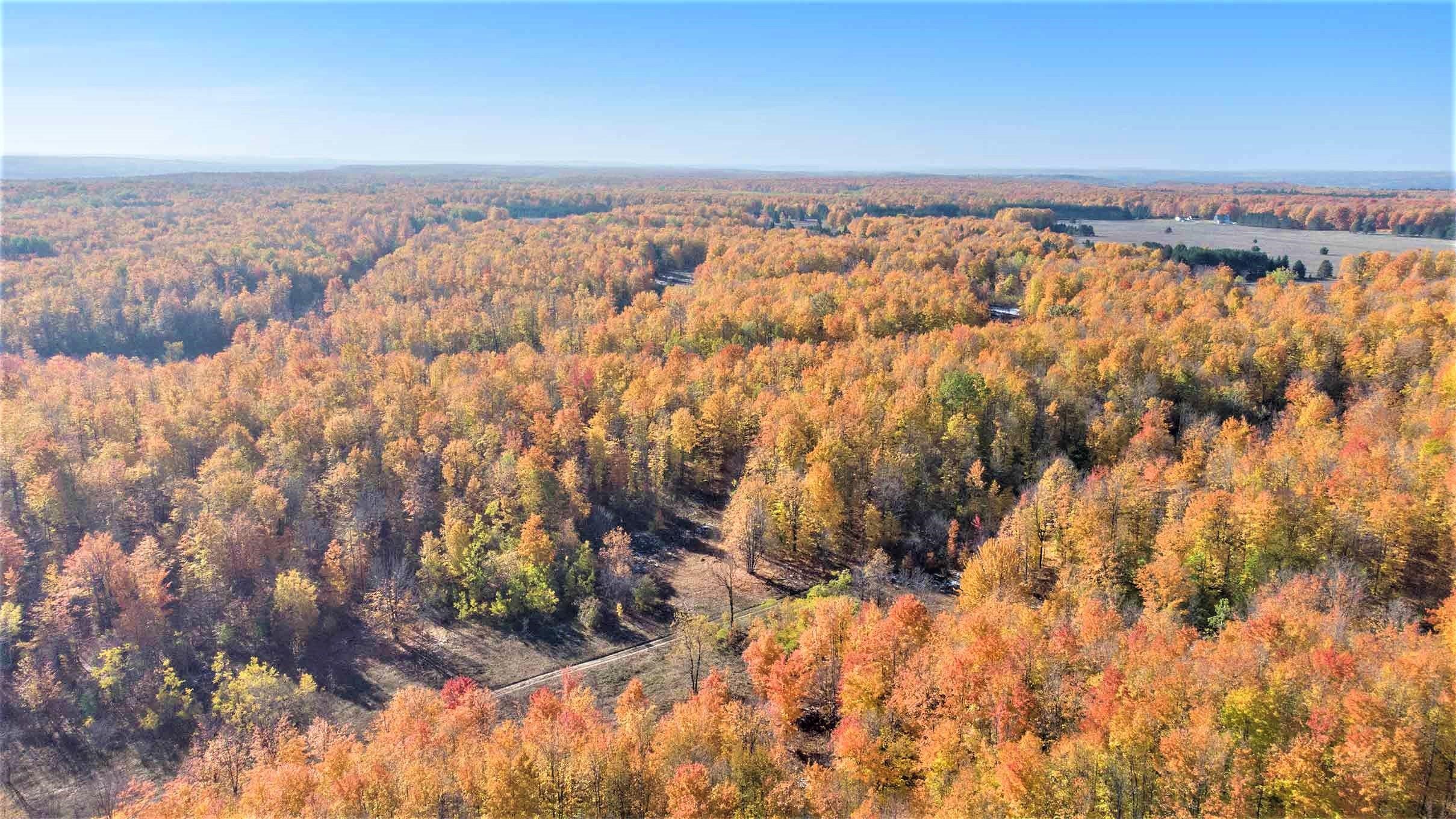 0 Twin Peaks Road Frederic, MI 49733 - Photo 31 of 35 Gallery Image 31
