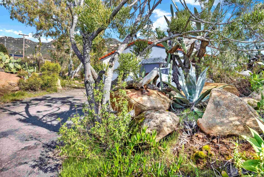 15866 Lyons Valley Road Jamul, CA 91935 - Photo 49 of 56 a backyard of a house with a yard and outdoor seating