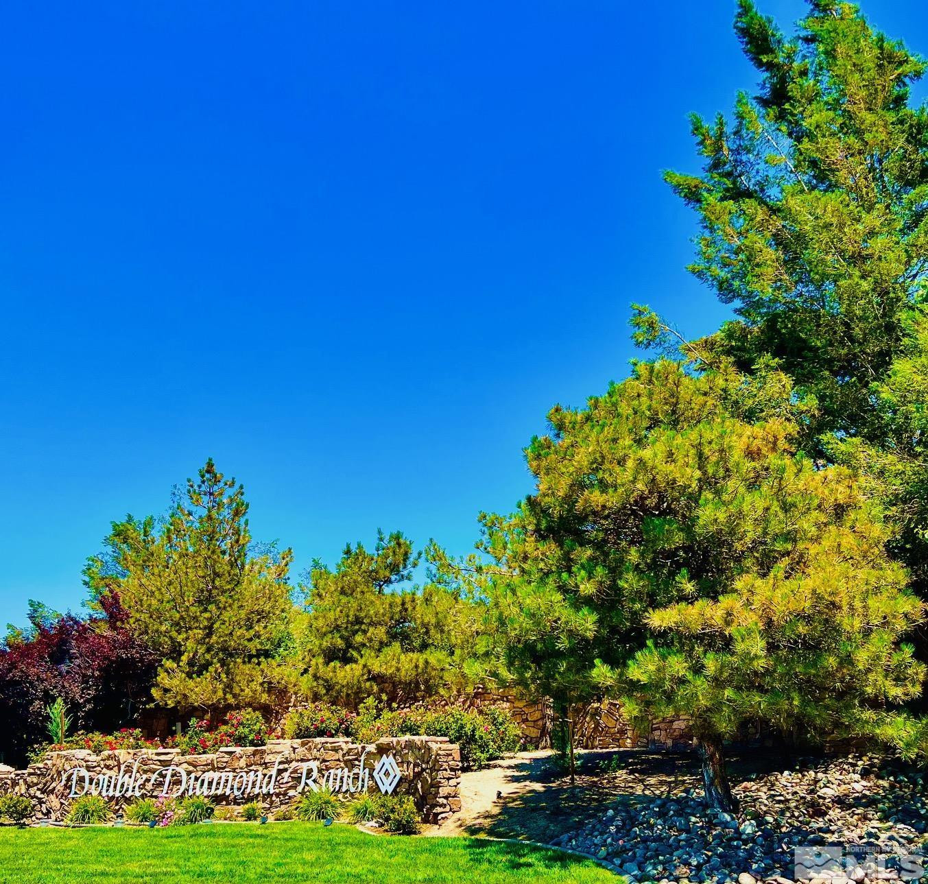 10160 Buckeye Court Reno, NV 89521 - Photo 29 of 36 a view of a big yard with plants