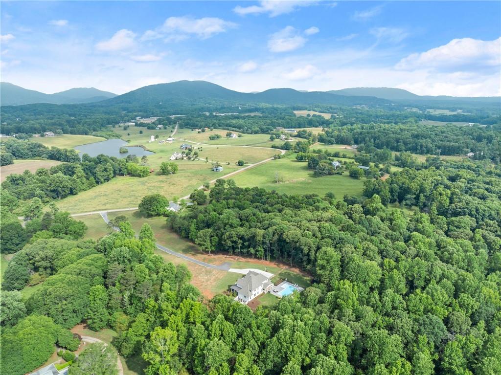 6998 Britt Gailey Road Clermont, GA 30527 - Photo 91 of 92