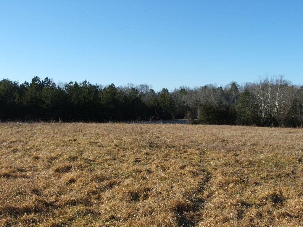 632 Schultz Mill Rd Green Meherrin, VA 23954 - Photo 3 of 17 Gallery Image 3