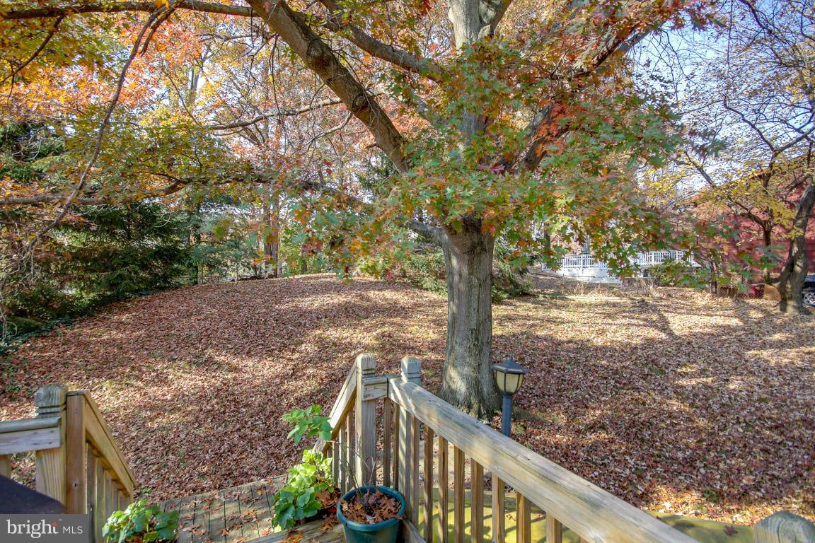 13701 Kingsman Road Woodbridge, VA 22193 - Photo 23 of 25 Exterior (Rear)