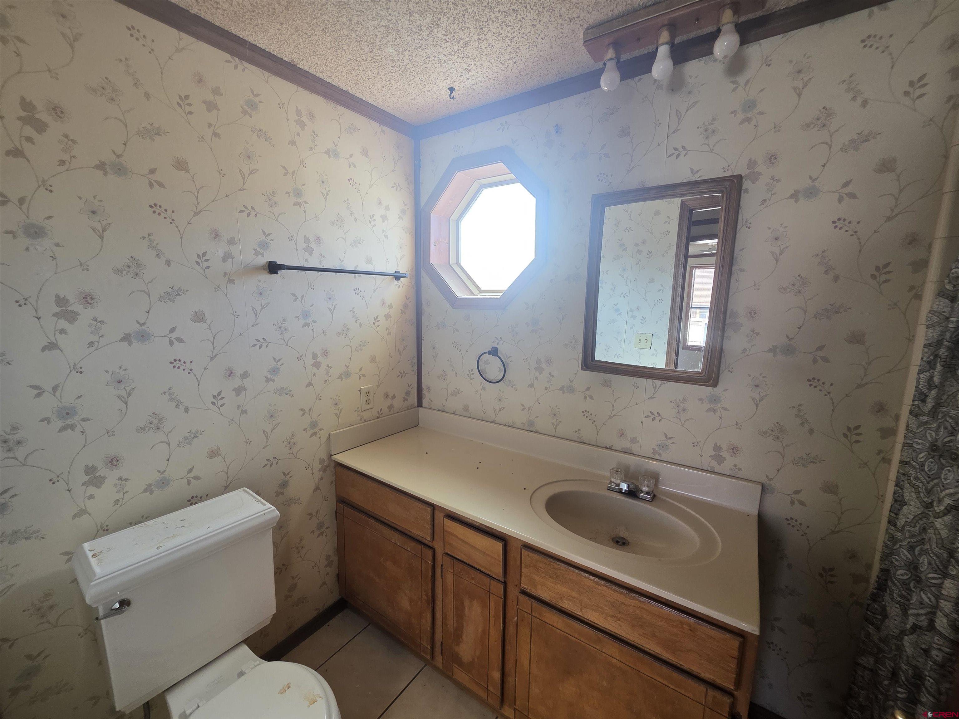232D Arapahoe Road South Fork, CO 81154 - Photo 14 of 23 a bathroom with a sink a toilet and mirror