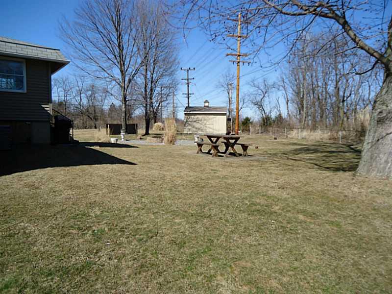 1217 Kings Mill Road Aliquippa, PA 15001 - Photo 22 of 24 Yard/Garden.