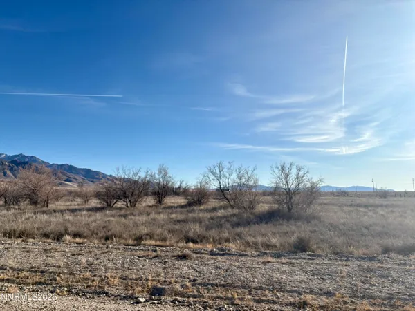 a view of a dry yard with trees