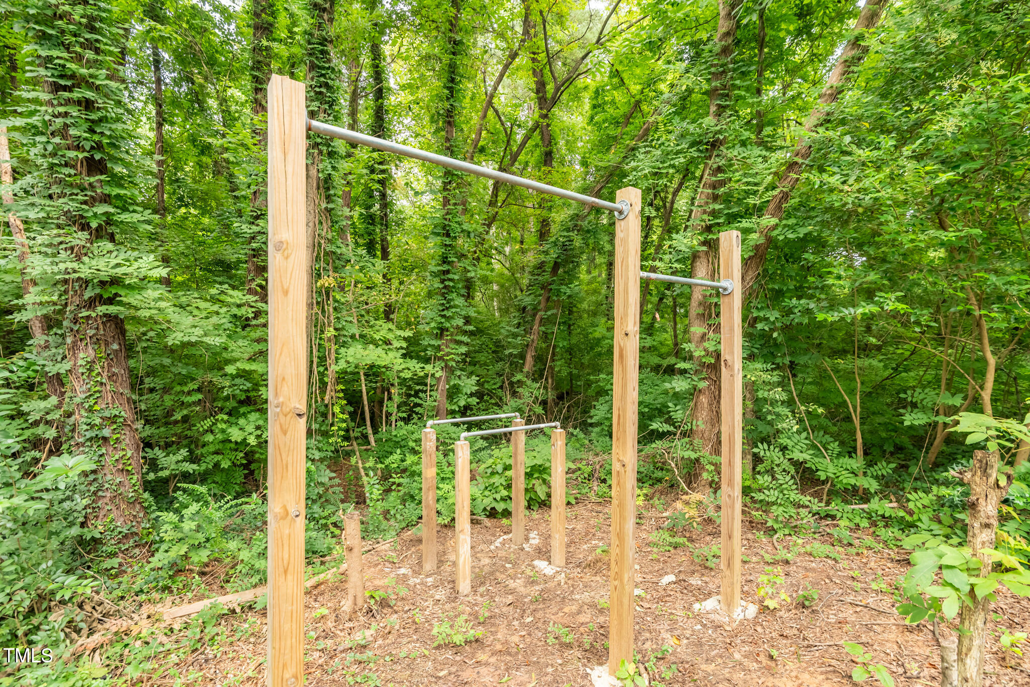 2909 Chapel Hill Road Durham, NC 27707 - Photo 35 of 39 Body weight workout station