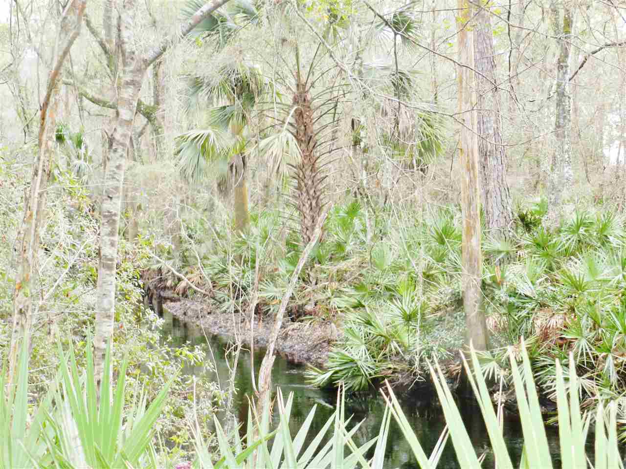 911 O'Steen Road Perry, FL 32347 - Photo 20 of 32