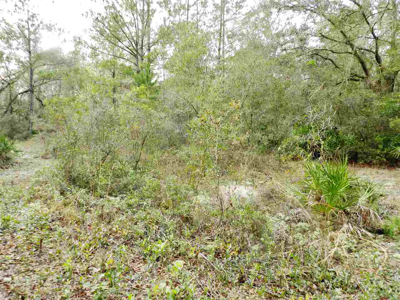 911 O'Steen Road Perry, FL 32347 - Photo 22 of 32
