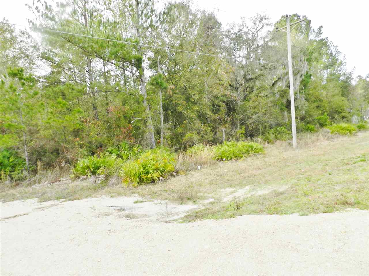 911 O'Steen Road Perry, FL 32347 - Photo 27 of 32