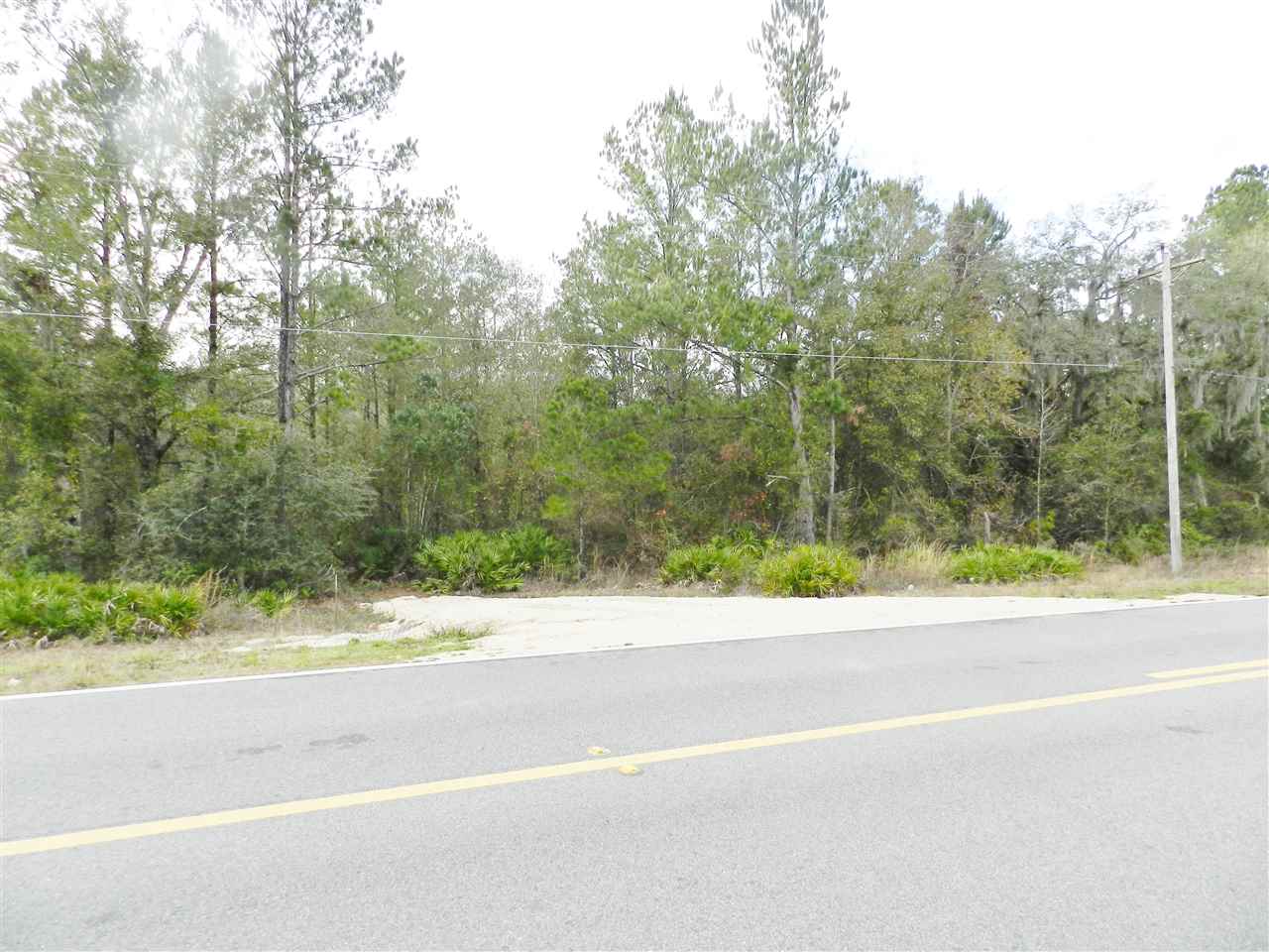 911 O'Steen Road Perry, FL 32347 - Photo 3 of 32