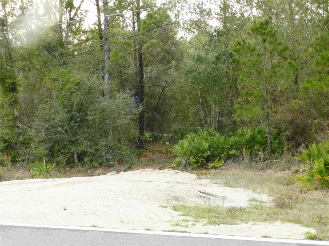 911 O'Steen Road Perry, FL 32347 - Photo 4 of 32