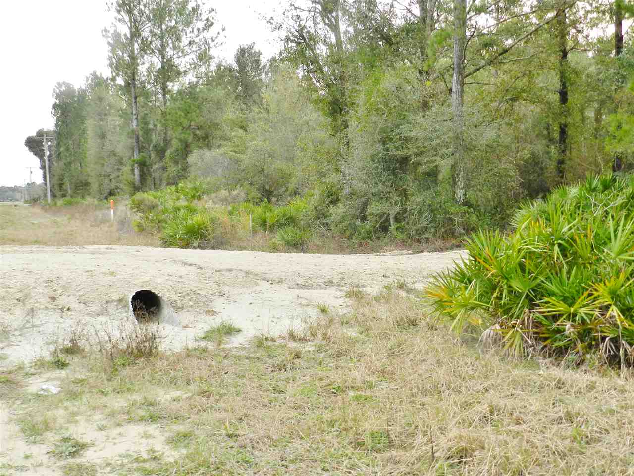 911 O'Steen Road Perry, FL 32347 - Photo 5 of 32