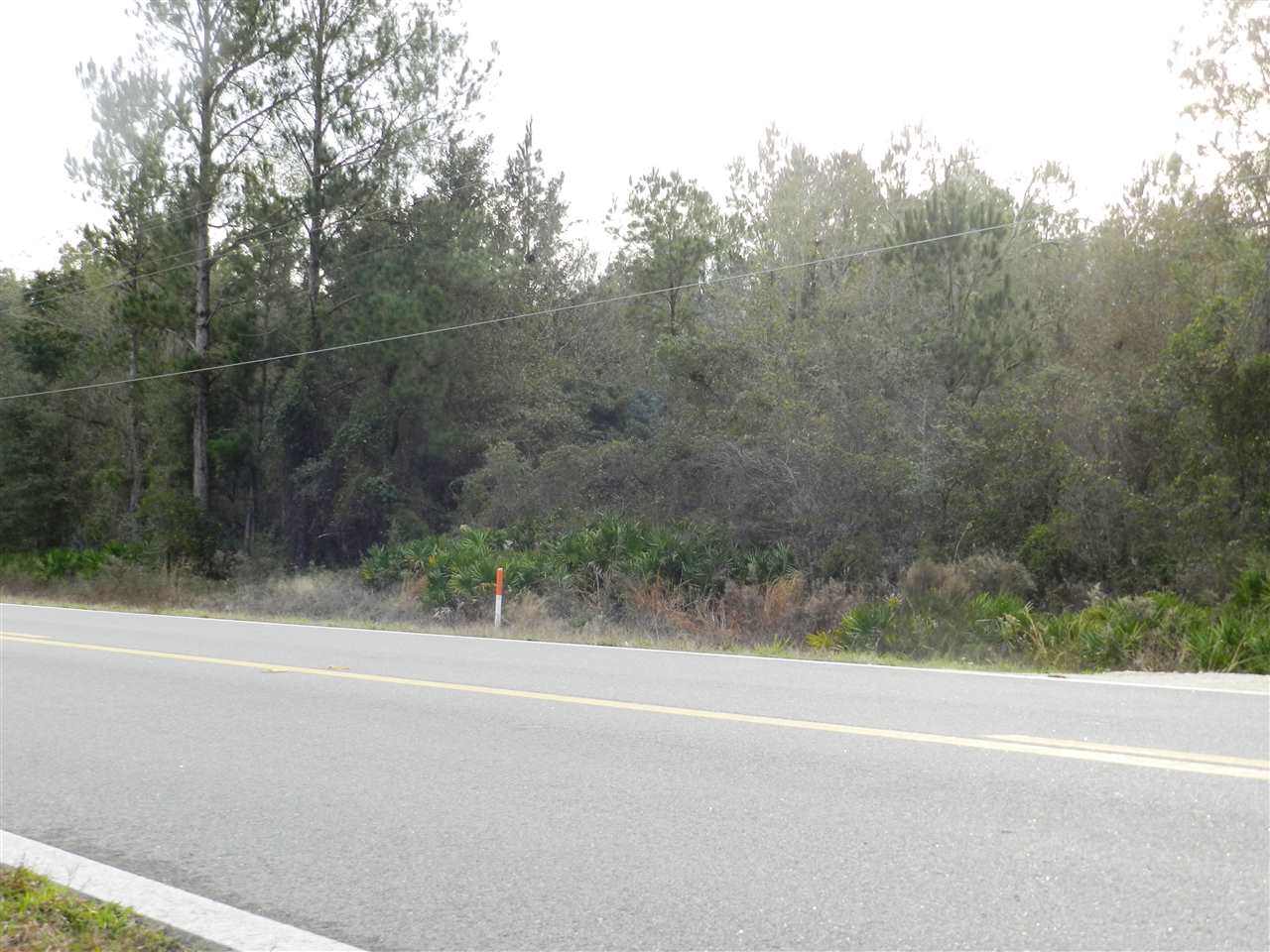 911 O'Steen Road Perry, FL 32347 - Photo 6 of 32