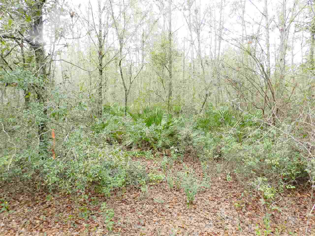 911 O'Steen Road Perry, FL 32347 - Photo 10 of 32