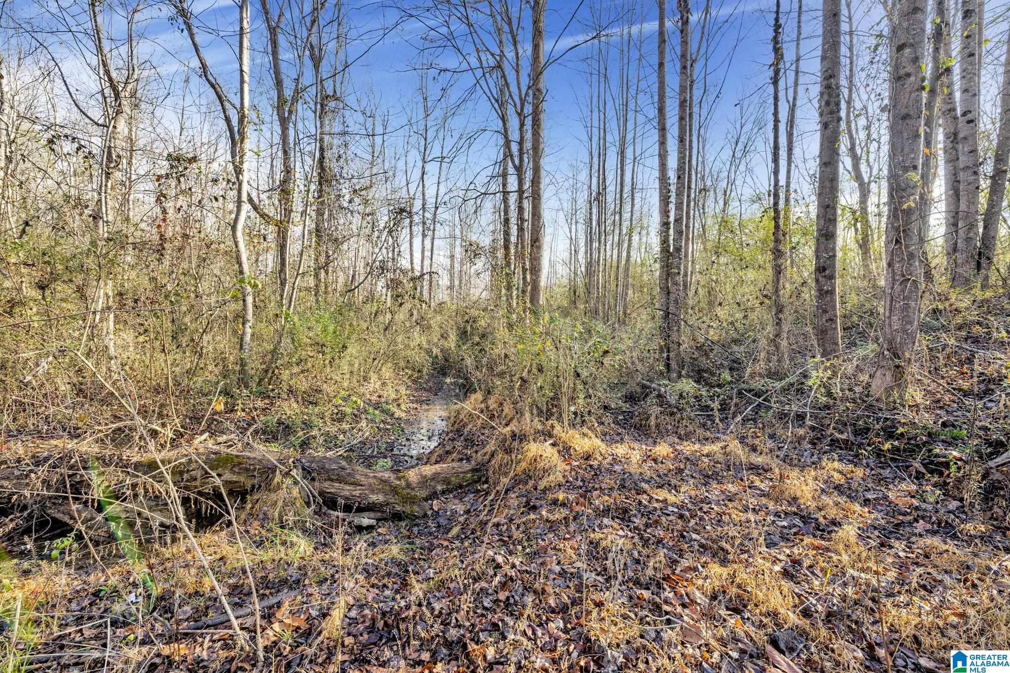 941 Hamm Road Blountsville, AL 35031 - Photo 44 of 67