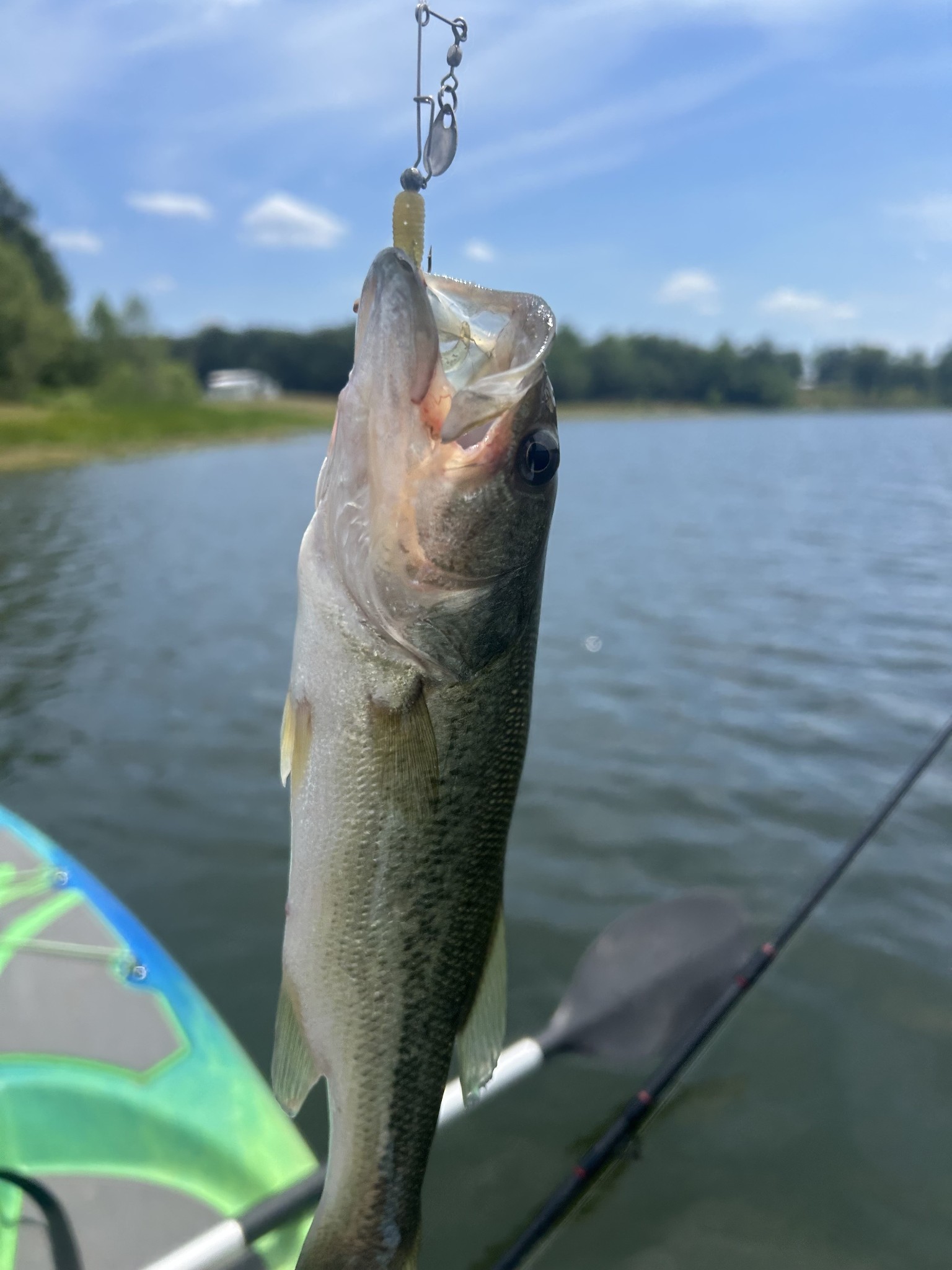 0 Starlight Road McMinnville, TN 37110 - Photo 4 of 5