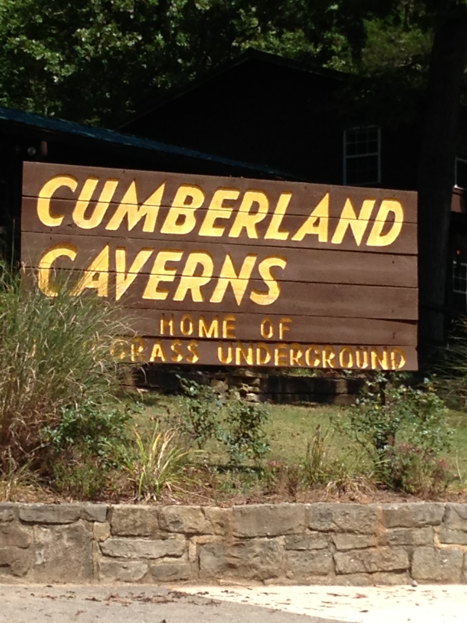 0 Starlight Road McMinnville, TN 37110 - Photo 5 of 5