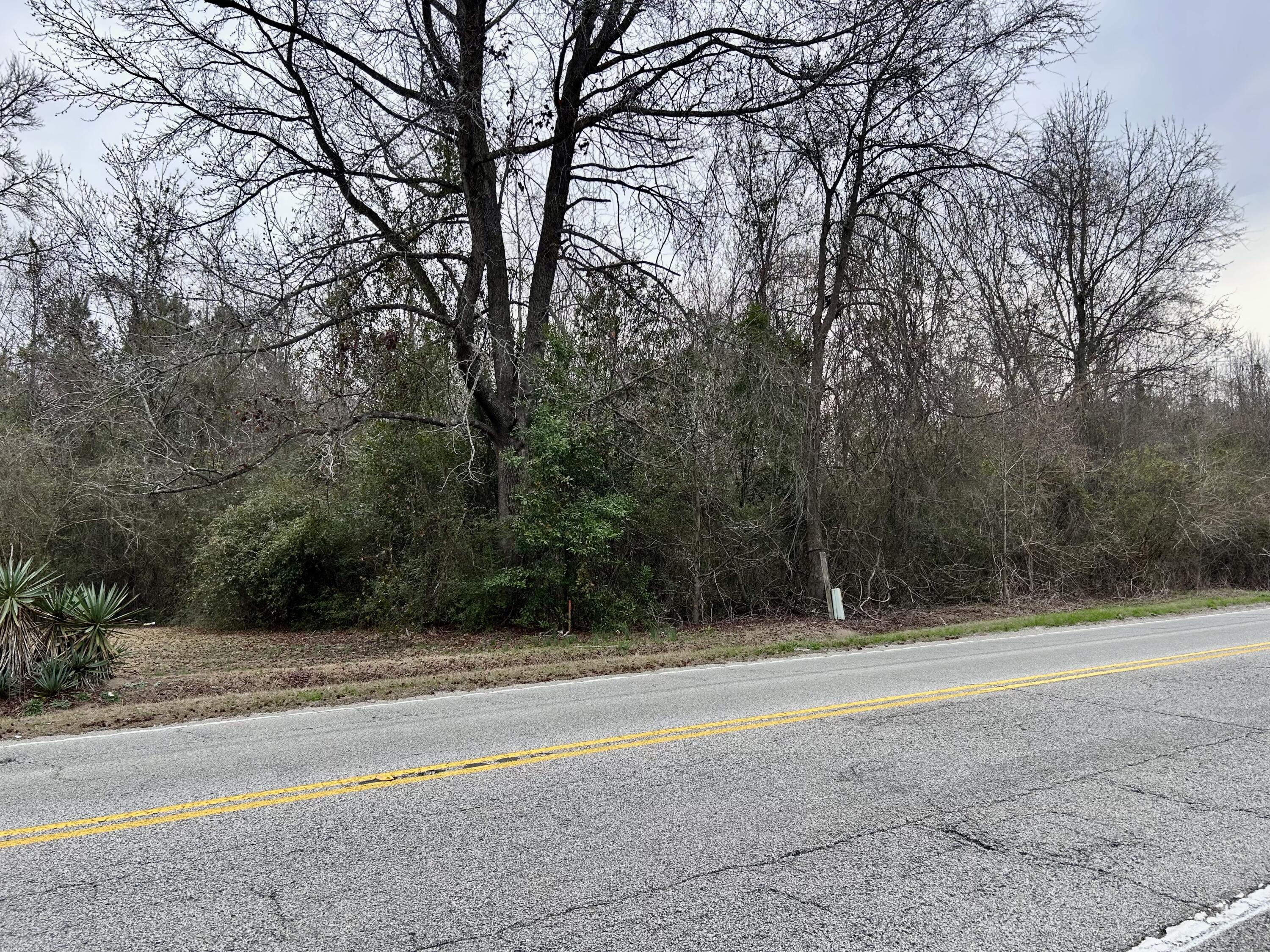 0 Camden Highway Rembert, SC 29128 - Photo 4 of 6