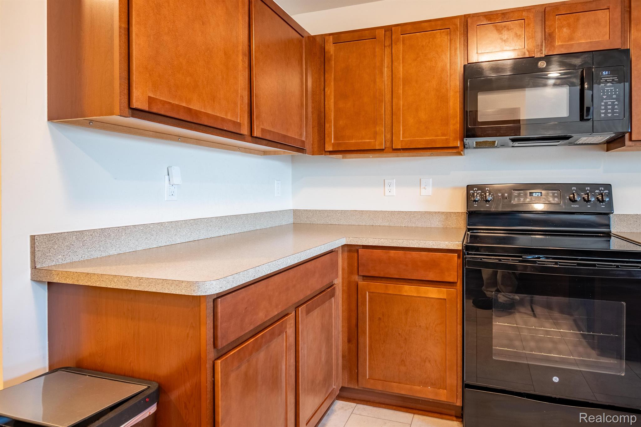 9993 Ridge Run Street Howell, MI 48855 - Photo 11 of 35 Gallery Image 11