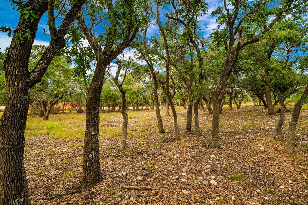 Lot 21 Reservation Road, Unit 21 Harper, TX 78631 - Photo 2 of 6 Gallery Image 2