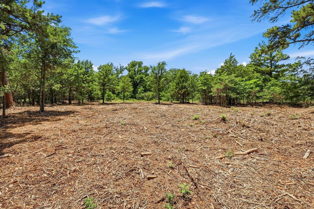 1121 Redbird Grove Road Argyle, TX 76226 - Photo 8 of 29