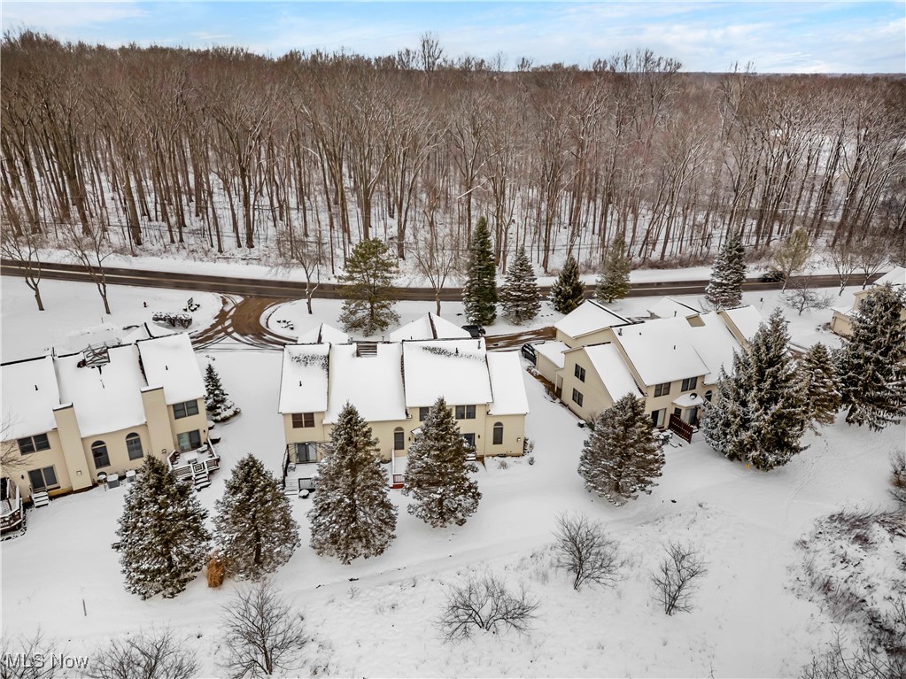 1033 Parsons Road Grafton, OH 44044 - Photo 24 of 25 View of snowy aerial view