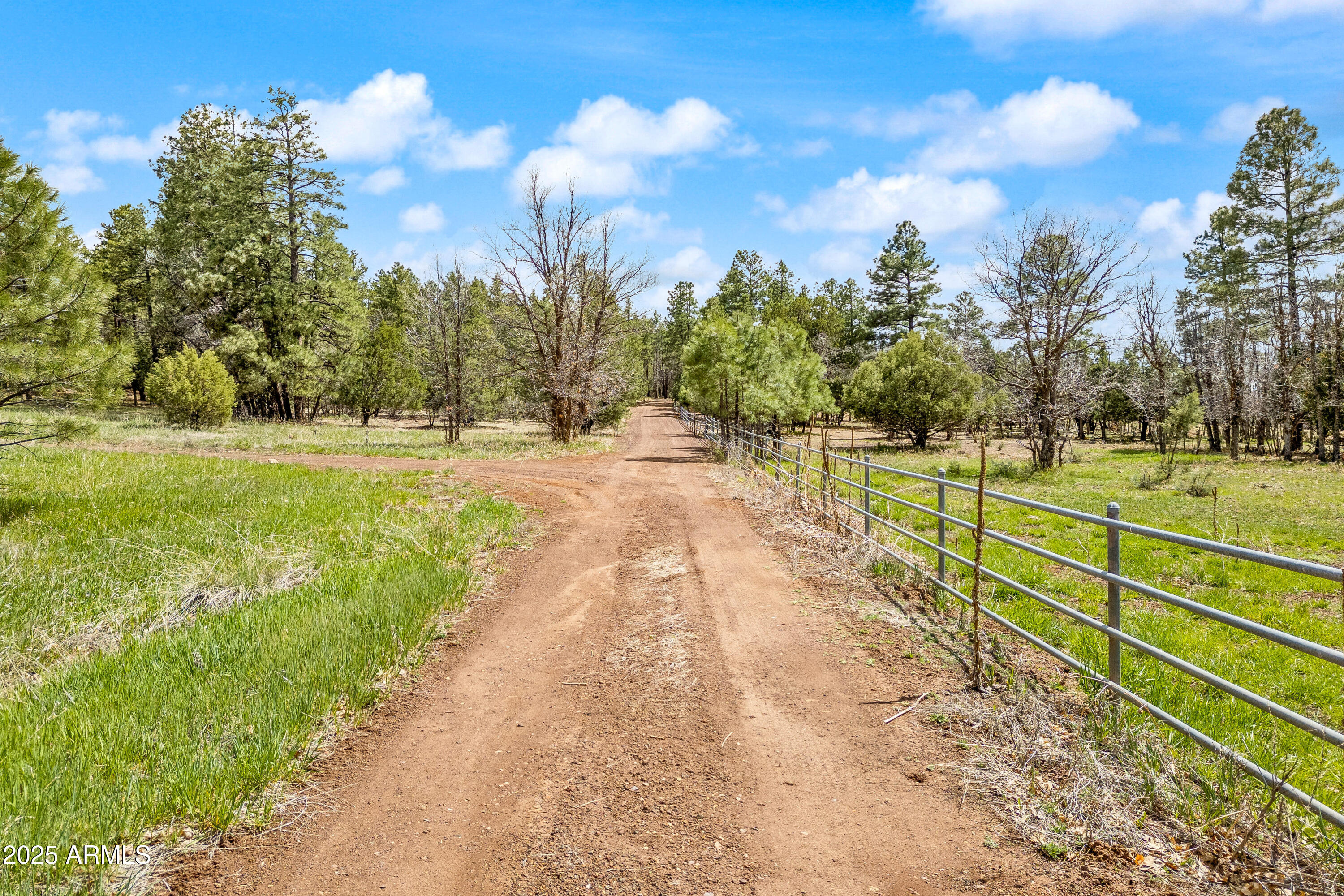 931 West Woodland Lake Road, Unit 13 Lakeside, AZ 85929 - Photo 3 of 7 a view of a pathway with a yard