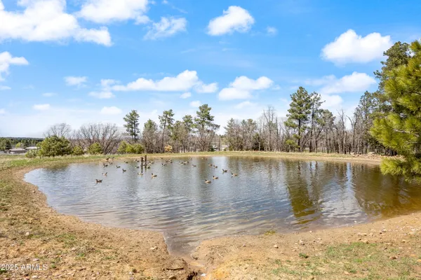 $4,600,000 | 931 West Woodland Lake Road, Unit 13, Lakeside, AZ 85929