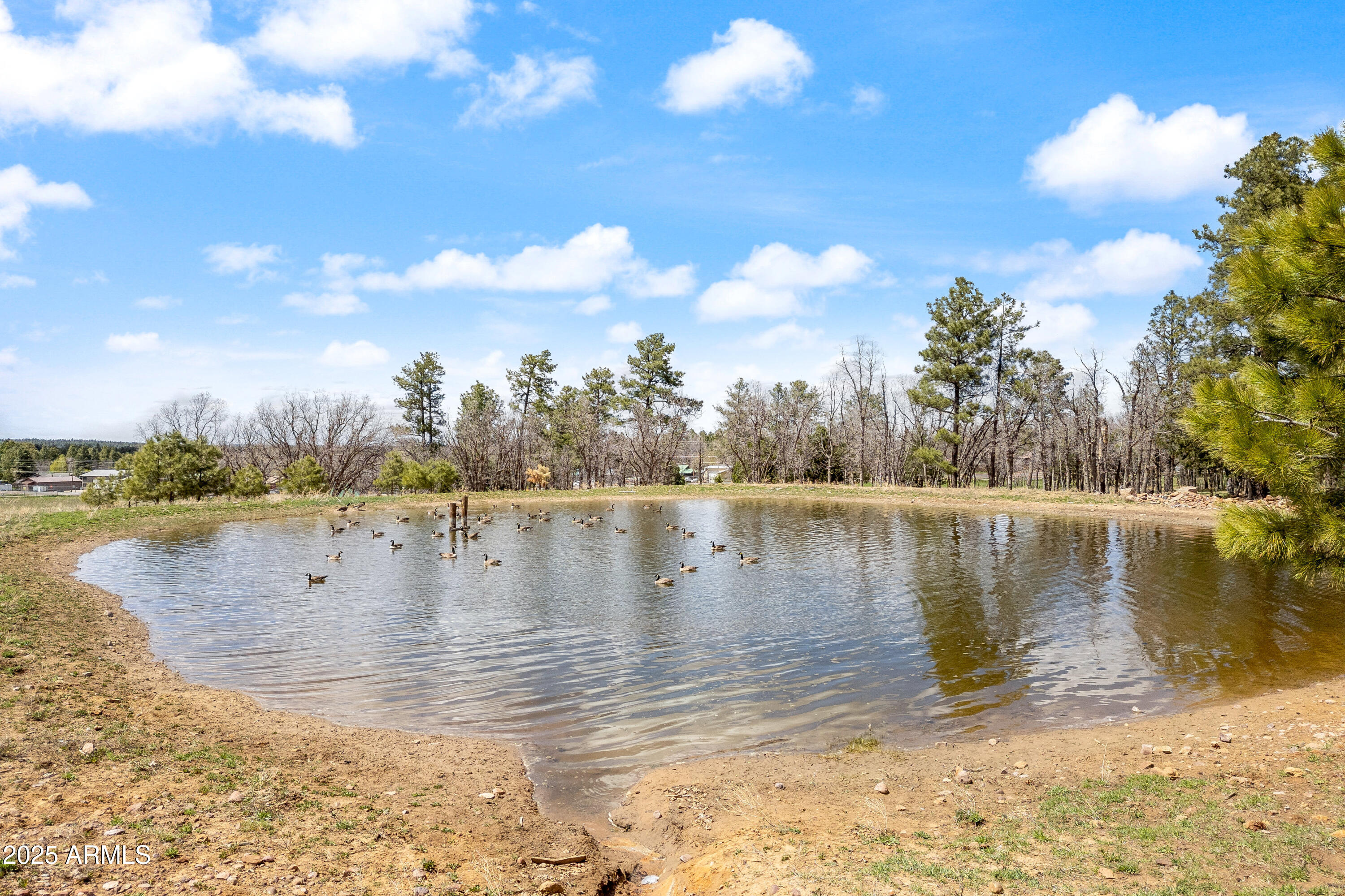931 West Woodland Lake Road, Unit 13 Lakeside, AZ 85929 - Photo 5 of 7 a view of a lake view