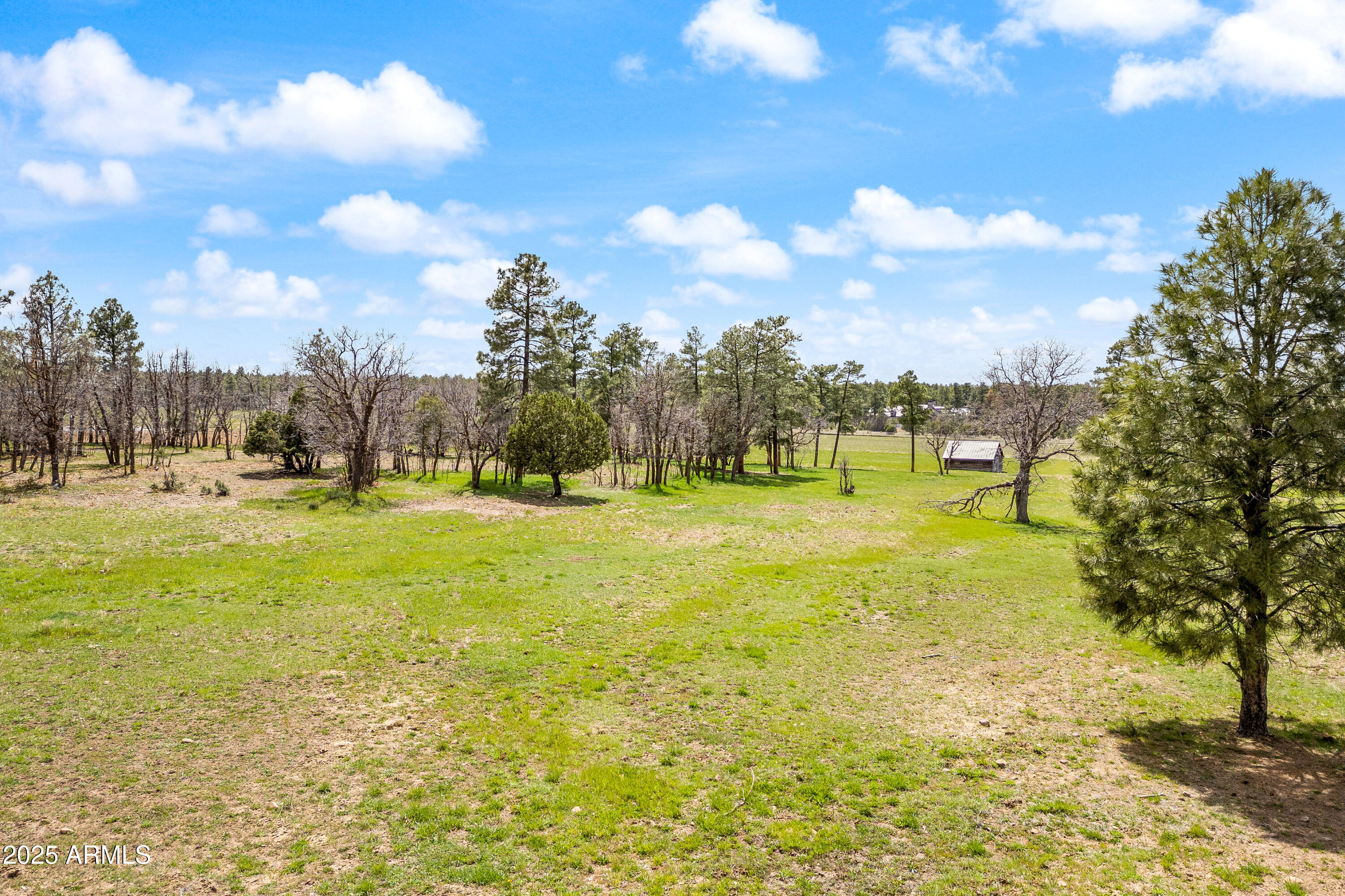 931 West Woodland Lake Road, Unit 13 Lakeside, AZ 85929 - Photo 6 of 7 a view of yard with swimming pool and trees in the background