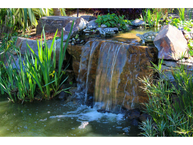 220 Calabasas Road Watsonville, CA 95076 - Photo 20 of 25 Gallery Image 20