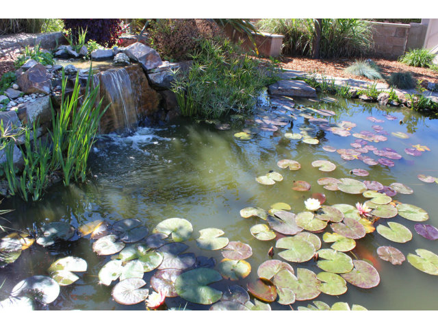 220 Calabasas Road Watsonville, CA 95076 - Photo 21 of 25 Gallery Image 21