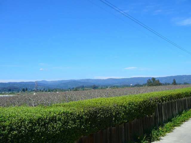 220 Calabasas Road Watsonville, CA 95076 - Photo 5 of 25 Gallery Image 5