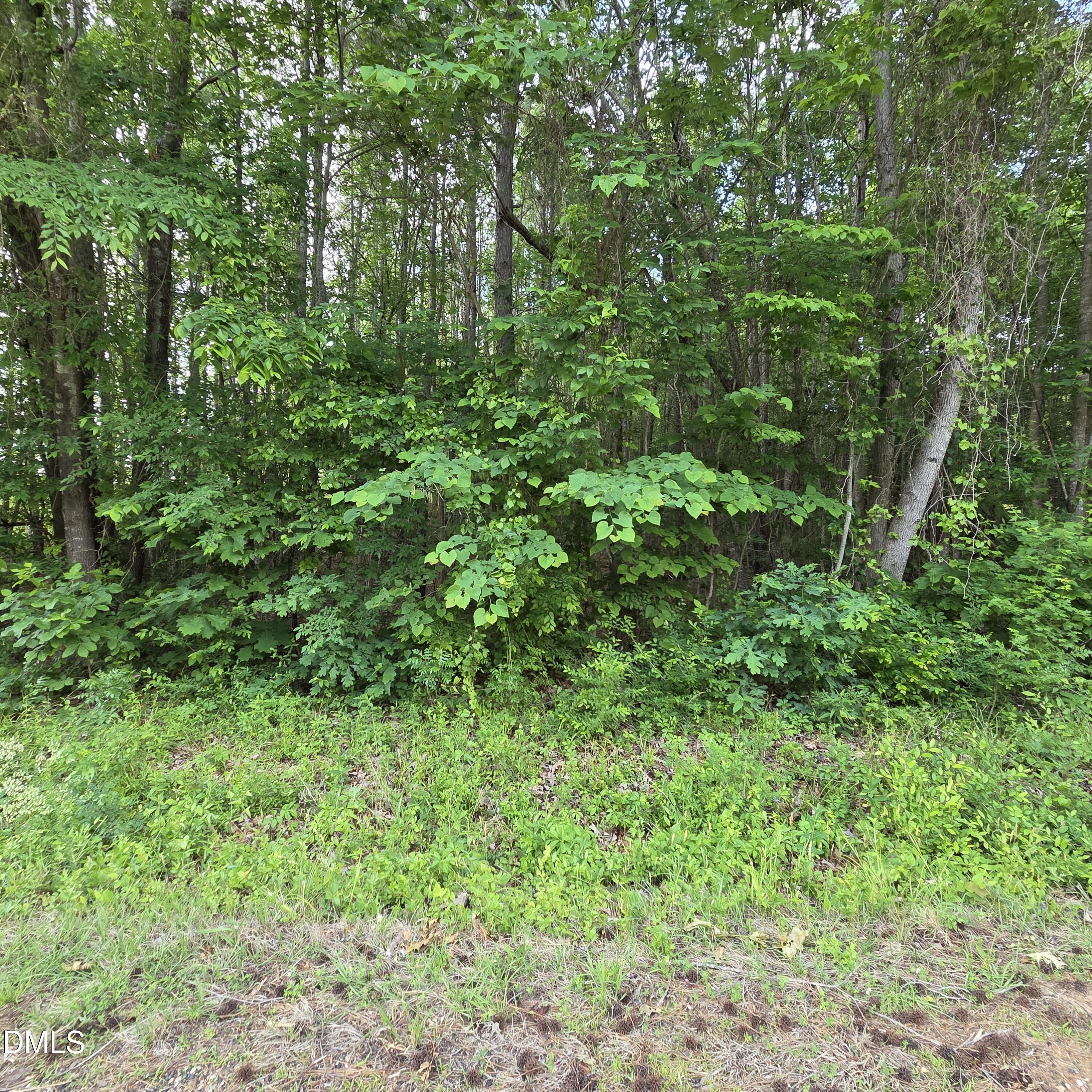I1035 A Tutelo Road Warrenton, NC 27589 - Photo 3 of 5 1000032297