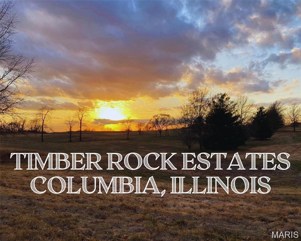 0 Timber Rock Columbia, IL 62236 - Photo 1 of 1