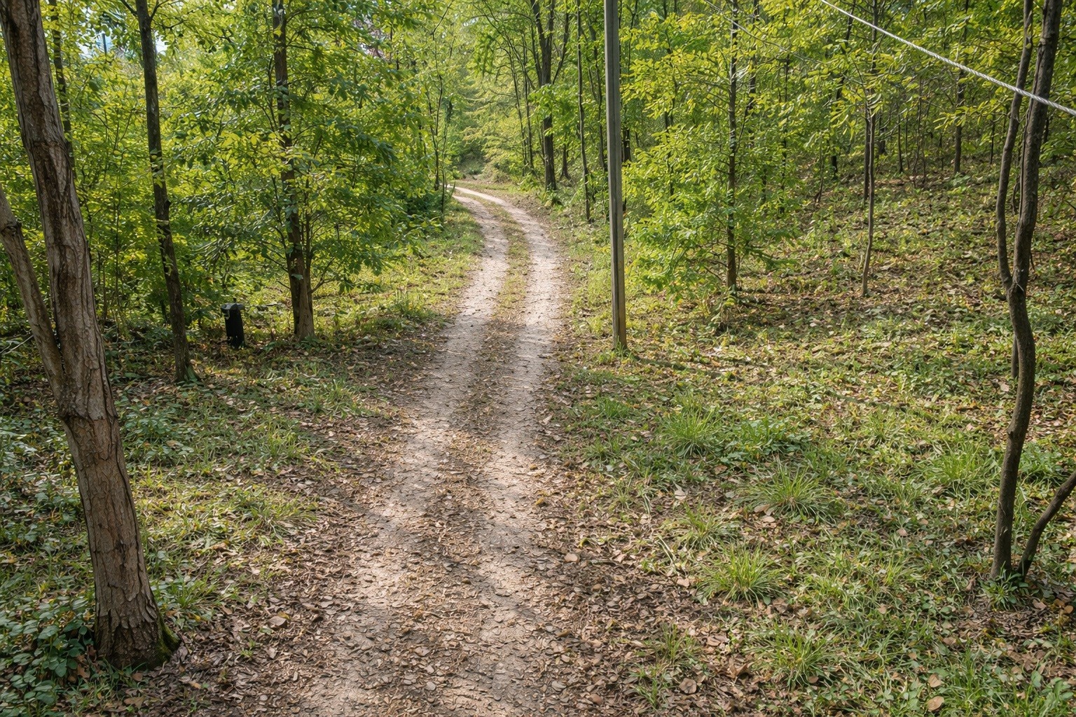 1135 West Mink Branch Road Waynesboro, TN 38485 - Photo 53 of 83